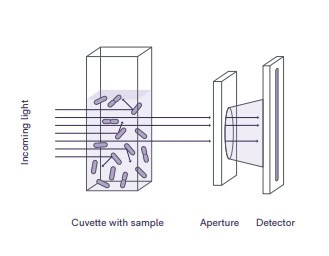 Screenshot_6-6-2024_10460_