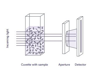 Screenshot_6-6-2024_104739_